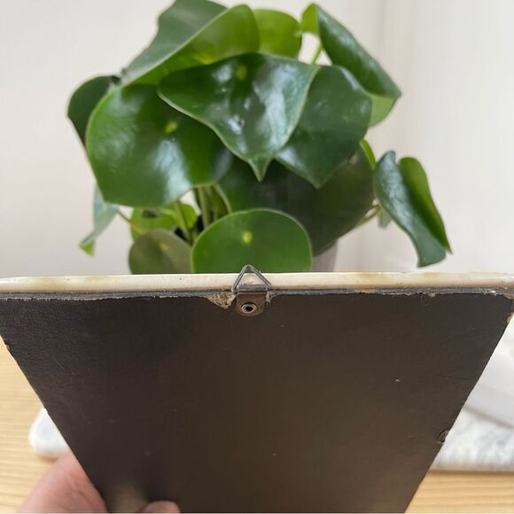 Vintage Burt’s Seed for Quality- Digitalis fancy mix ceramic sign - Picture 5 of 10